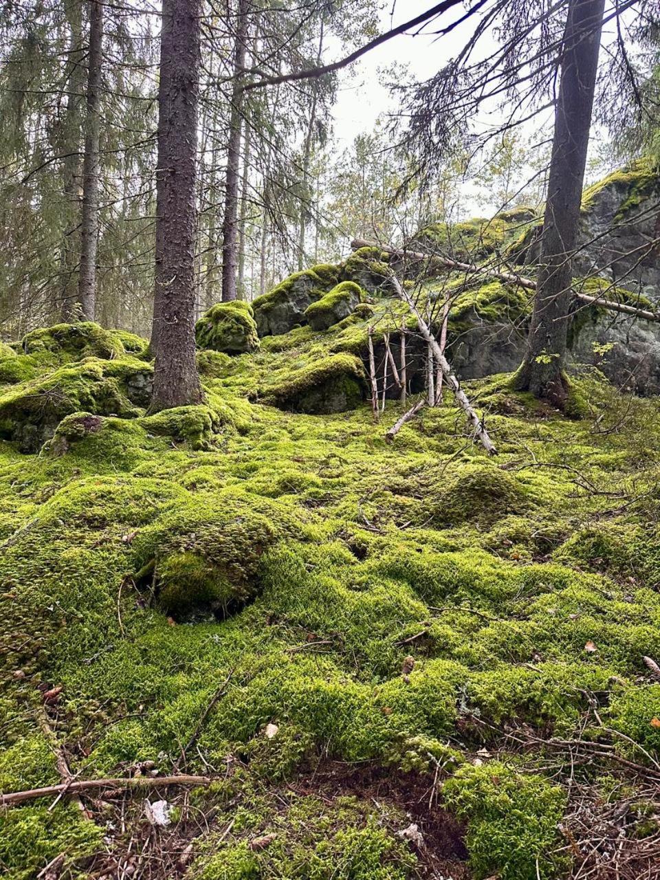 Suomusjarvi Villa Laidike With Sauna/Fireplace, 80 Km Helsinki מראה חיצוני תמונה